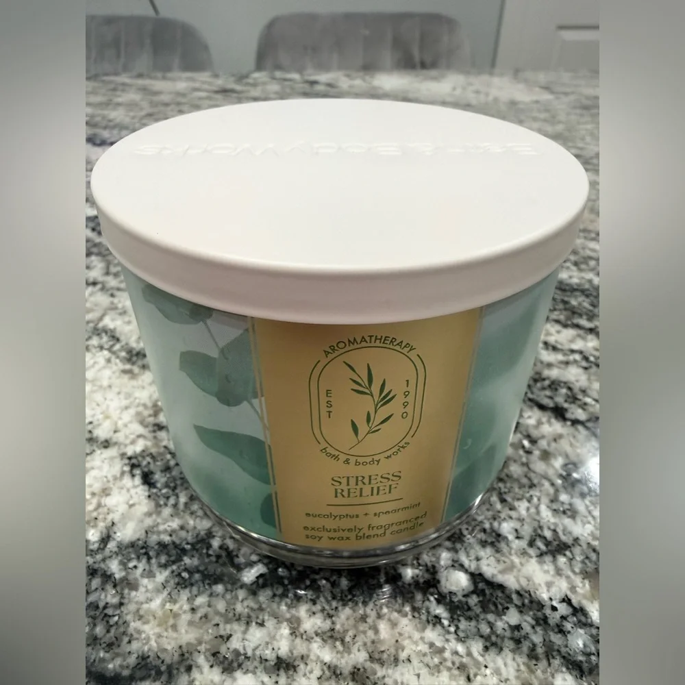 NWT Bath & Body Works Eucalyptus Spearmint Aromatherapy Candle